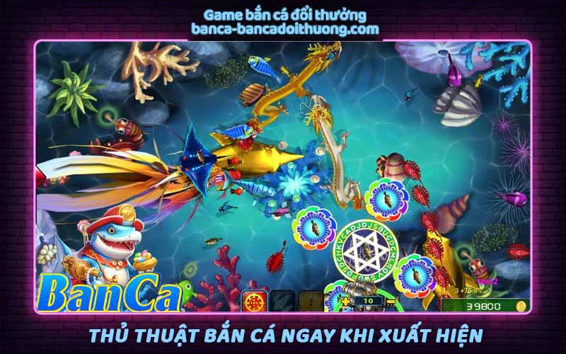 Lập tức bắn cá ngay khi xuất hiện